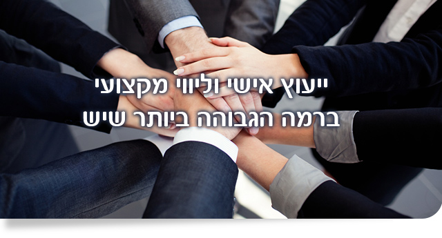 חברת נדל"ן MSN